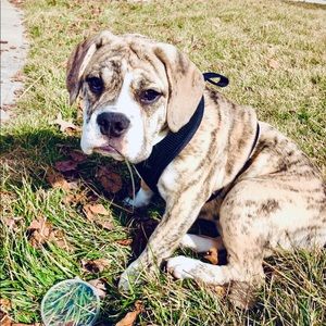 Meet your Posher, Serena